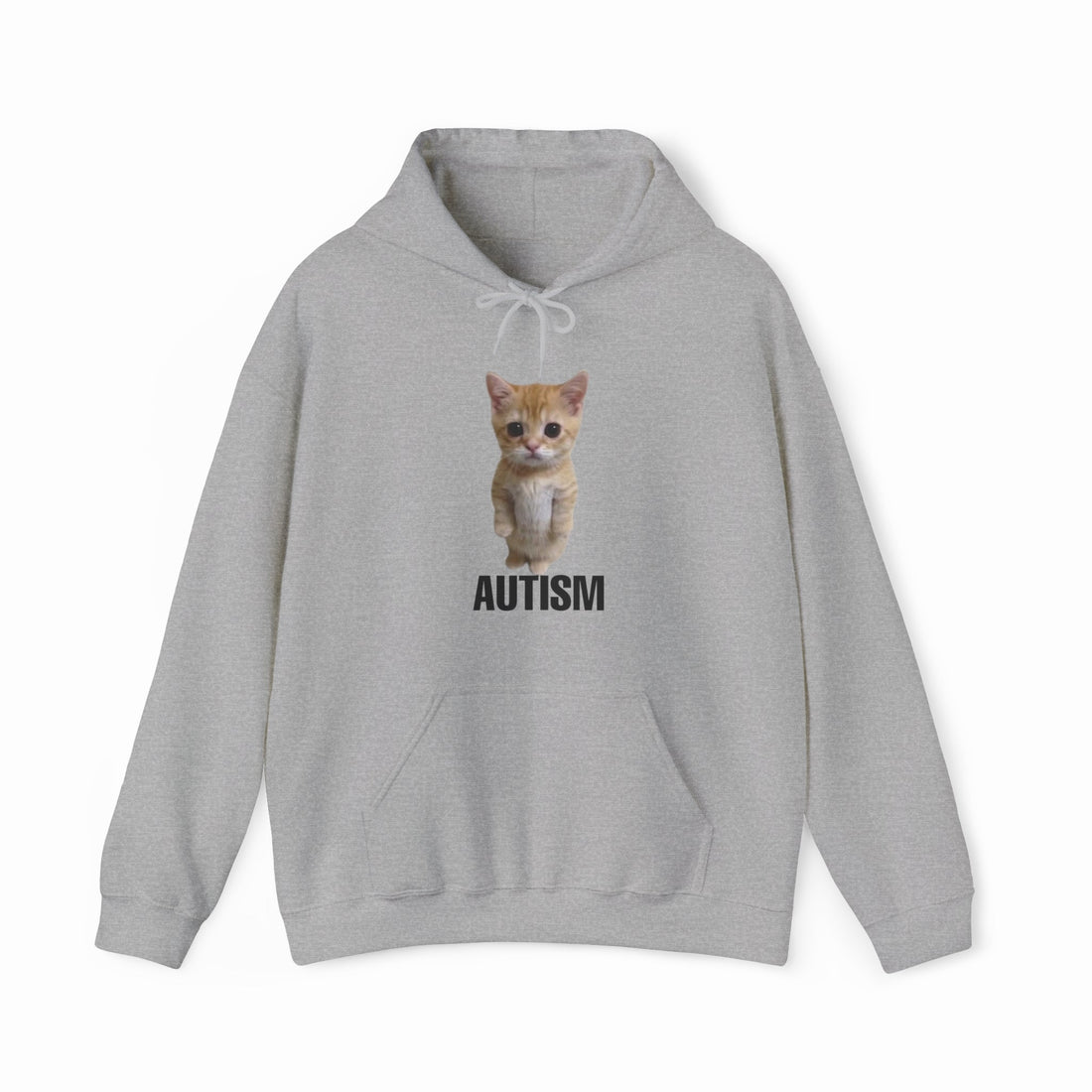 Autism Cat Hoodie