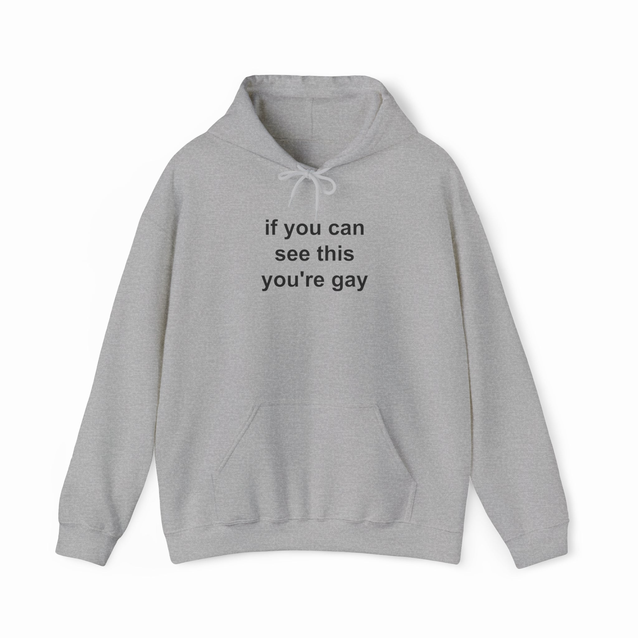 If You Can See This You're Gay Hoodie