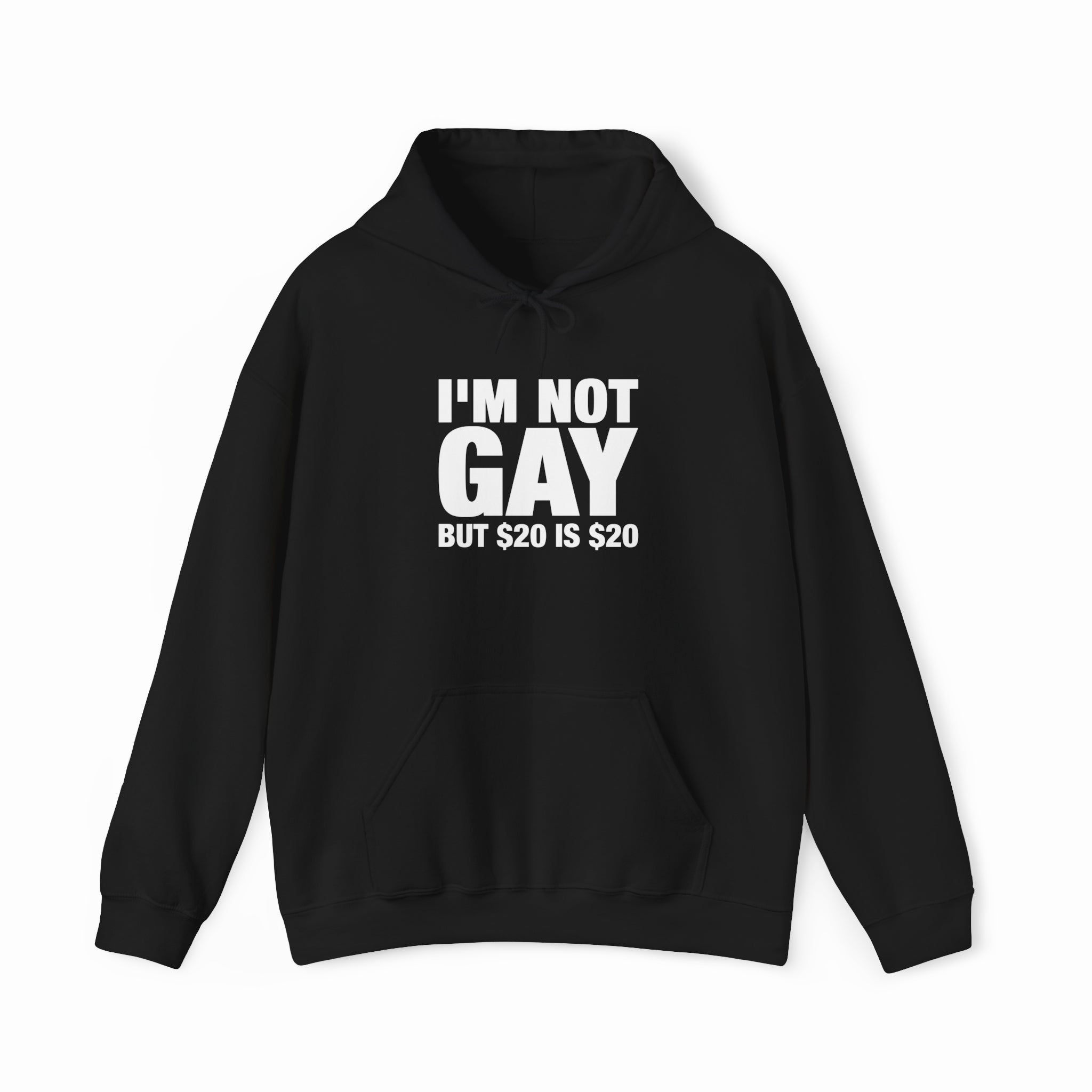I'm Not Gay But $20 Is $20 Hoodie