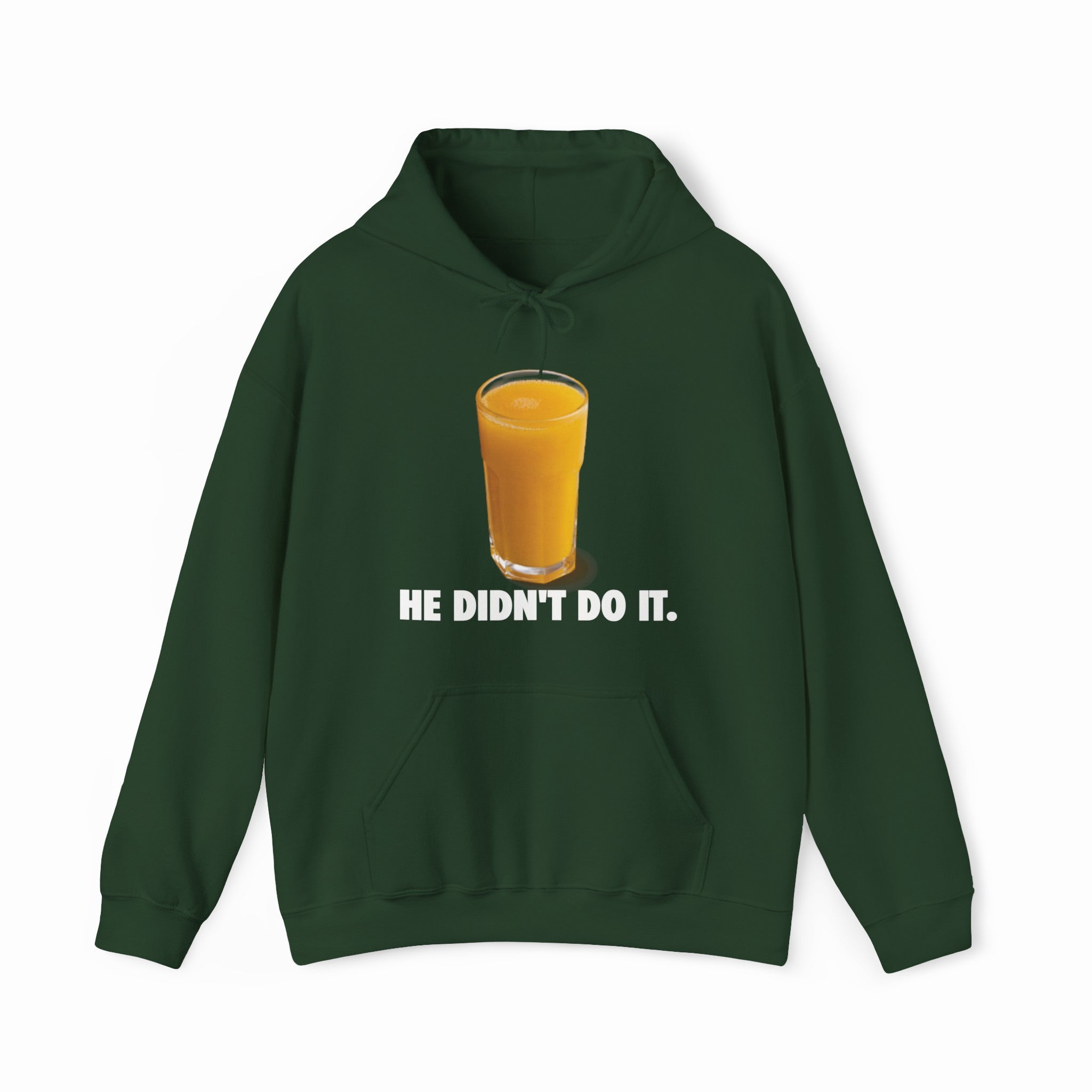 He Didn't Do It Hoodie