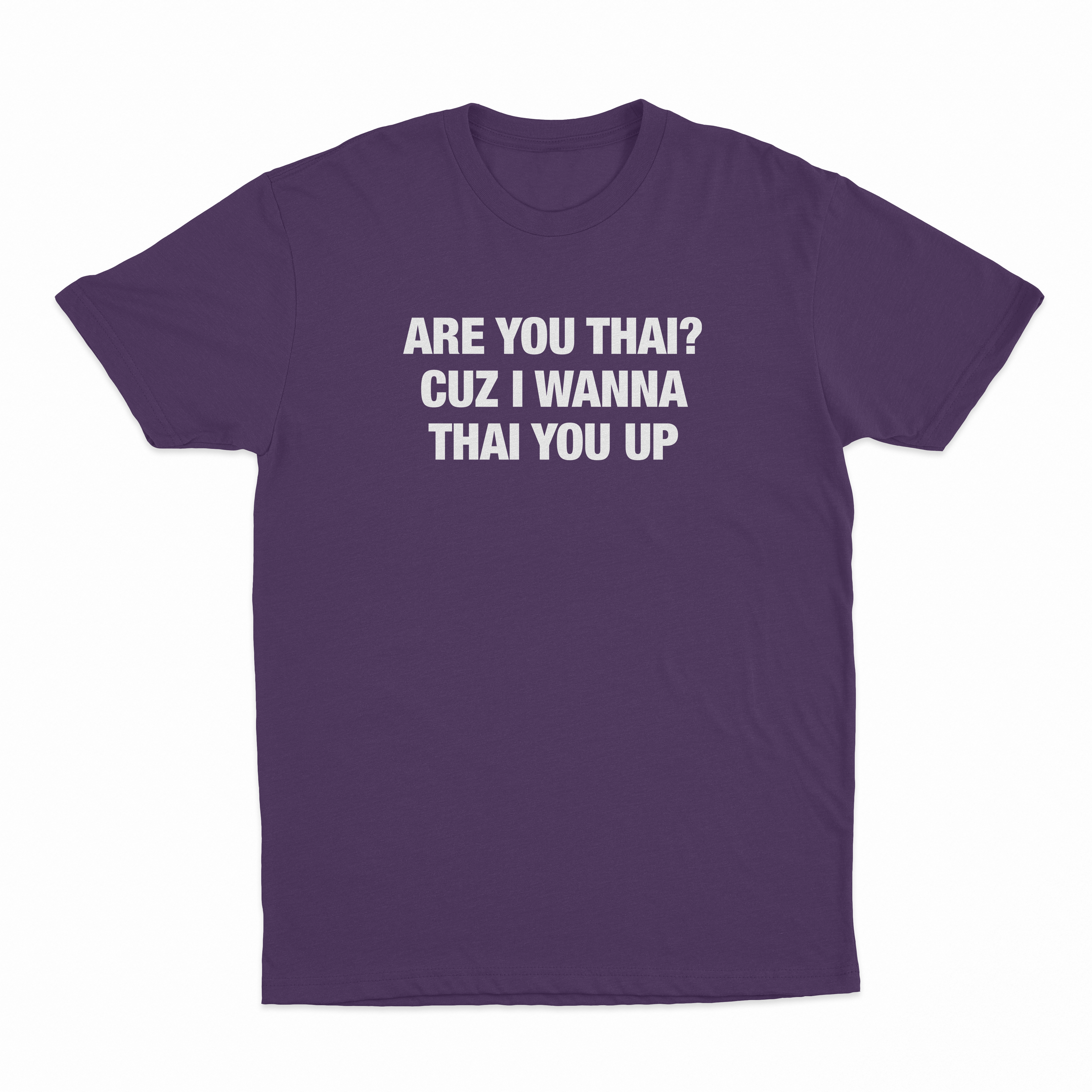 Are You Thai Cuz I'm Wanna Thai You Up Text Only T-Shirt