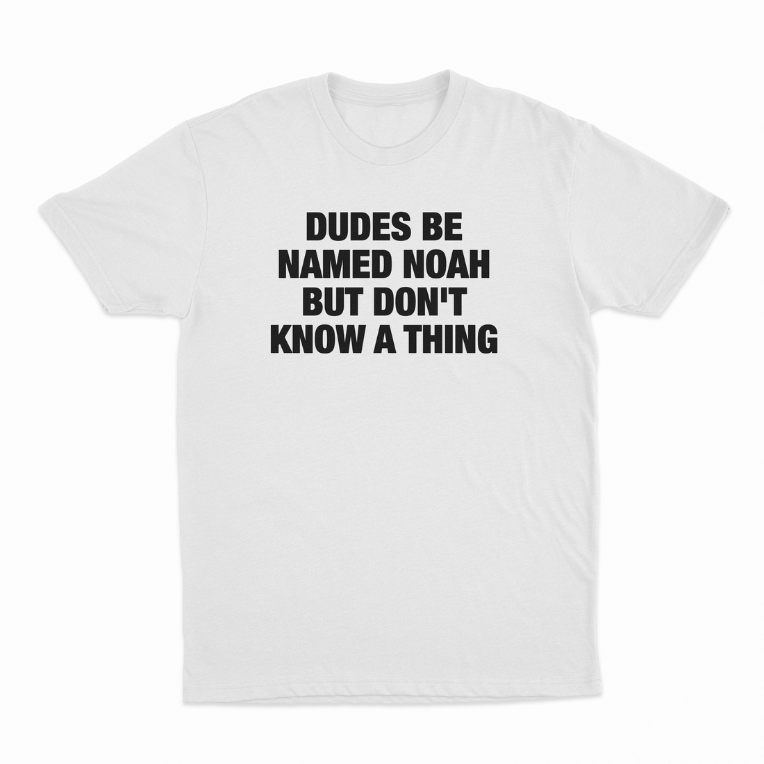 Dudes Be Named Noah But Don't Know A Thing T-Shirt