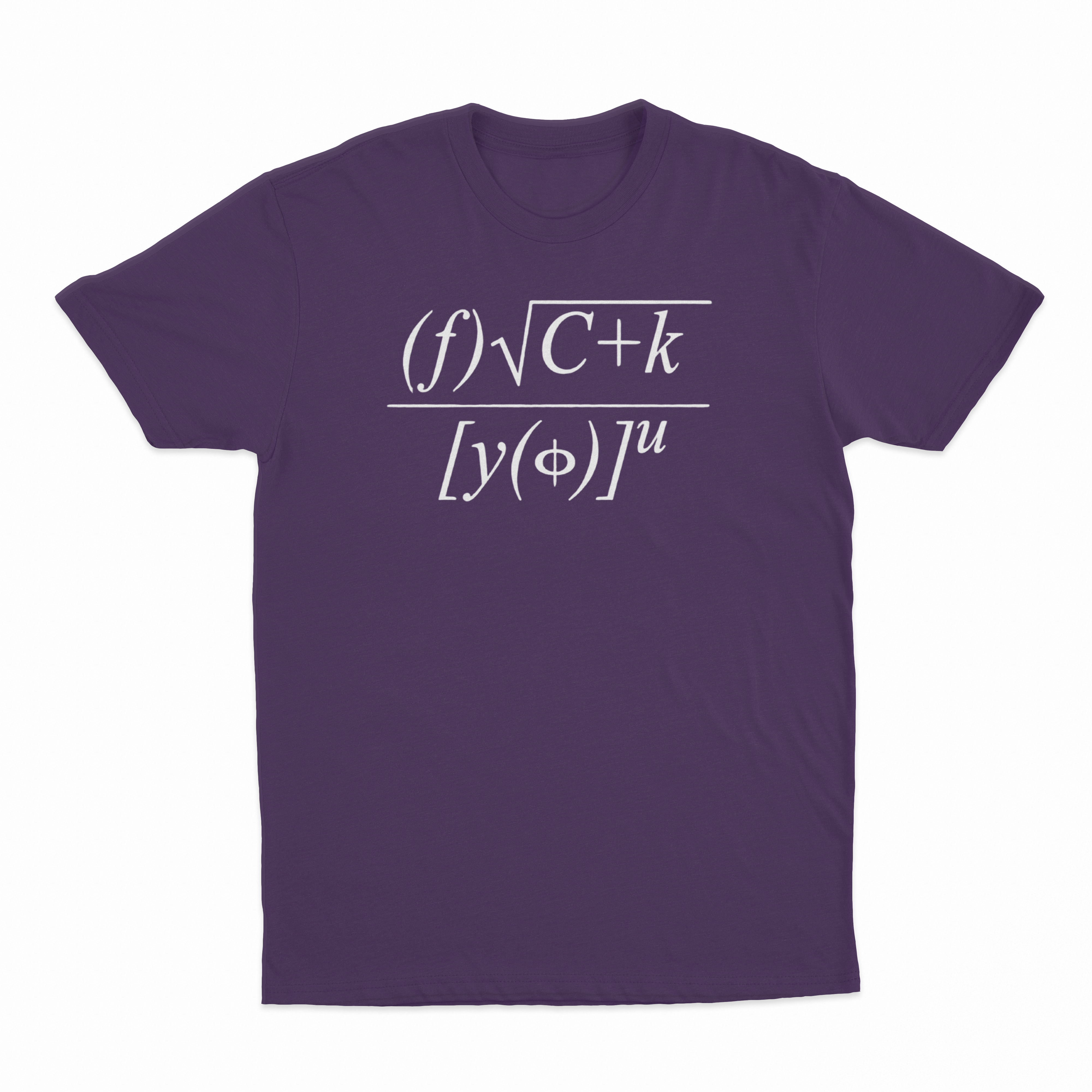 Fuck You Math Equation T-Shirt