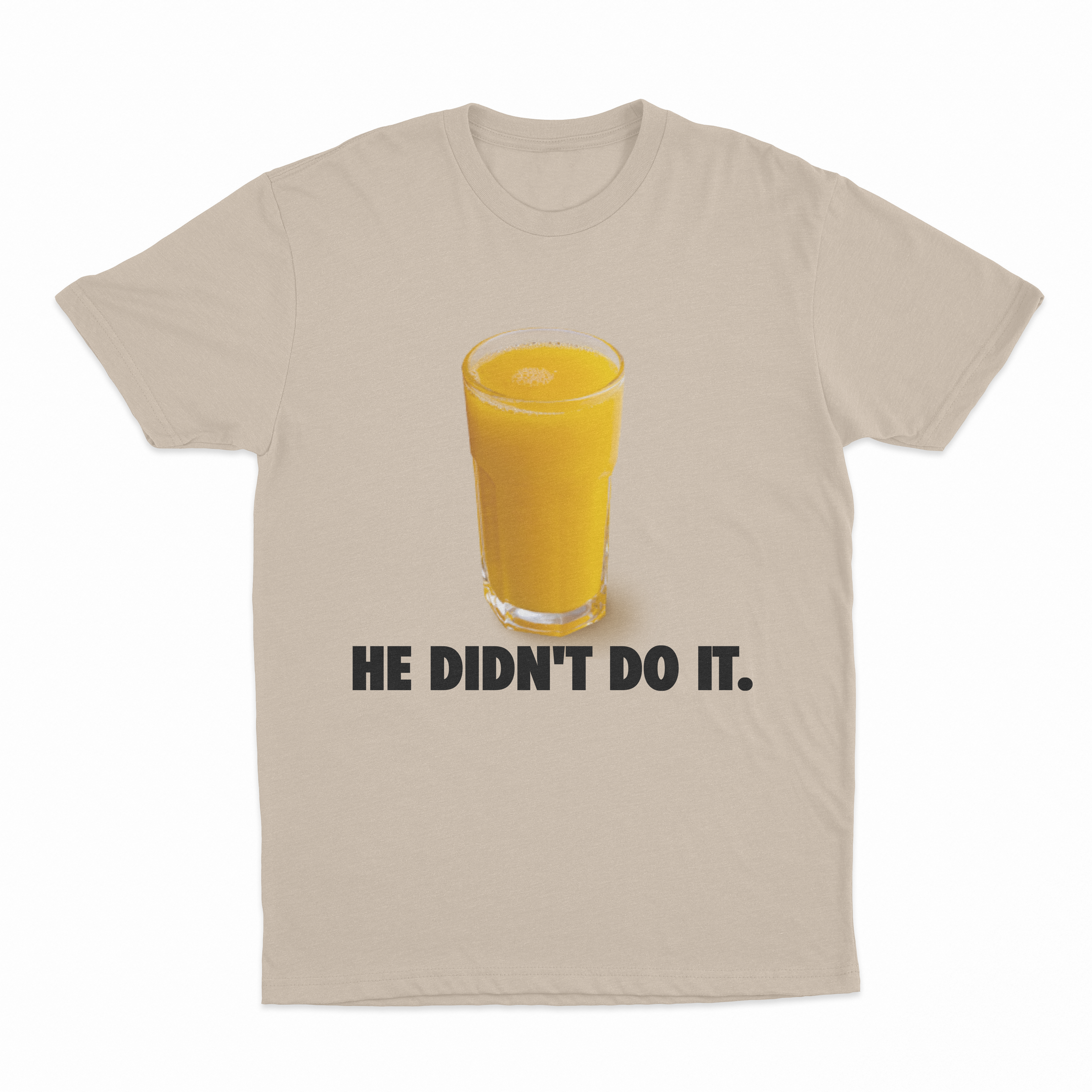 He Didn't Do It T-Shirt