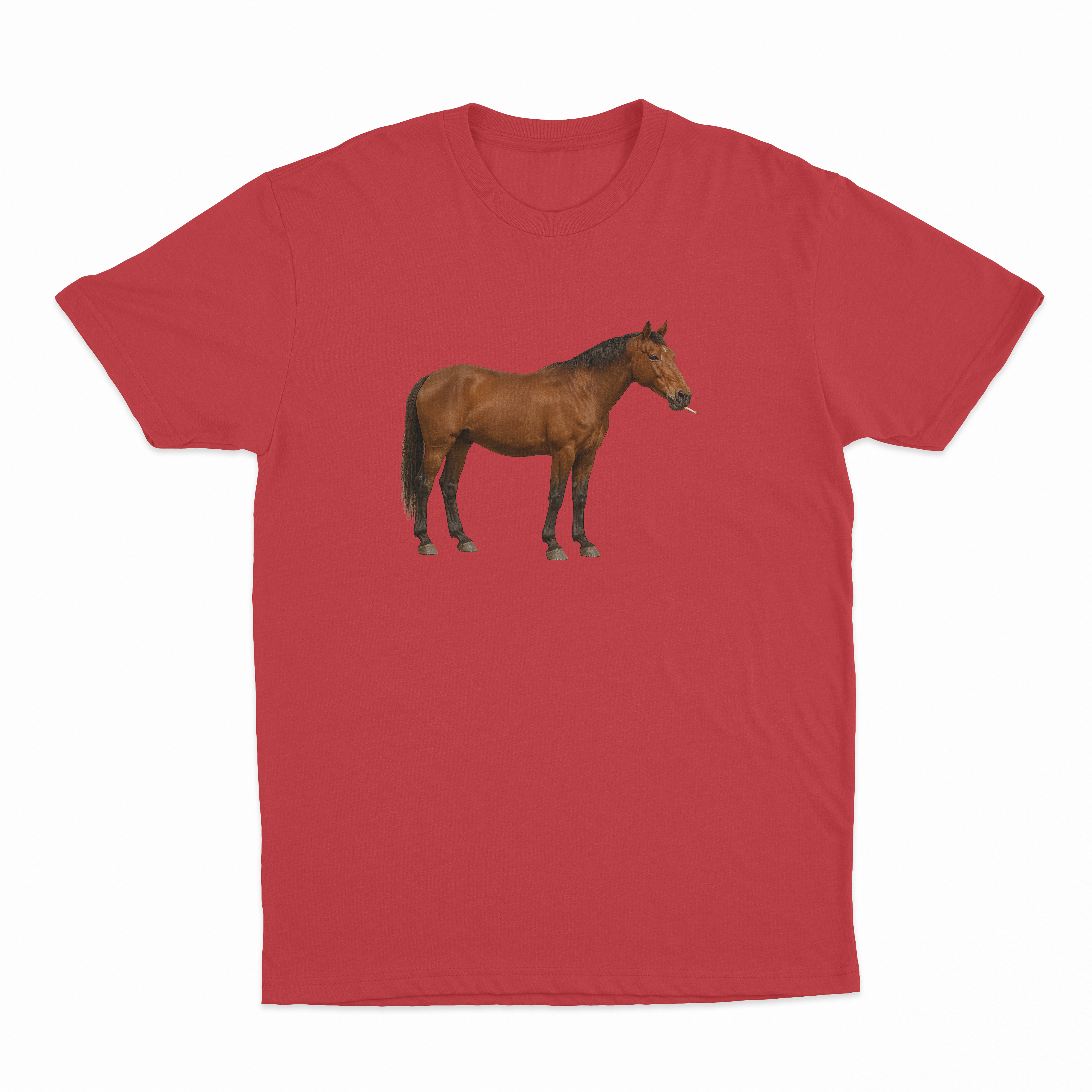 Horse Smoking Cigarette T-Shirt