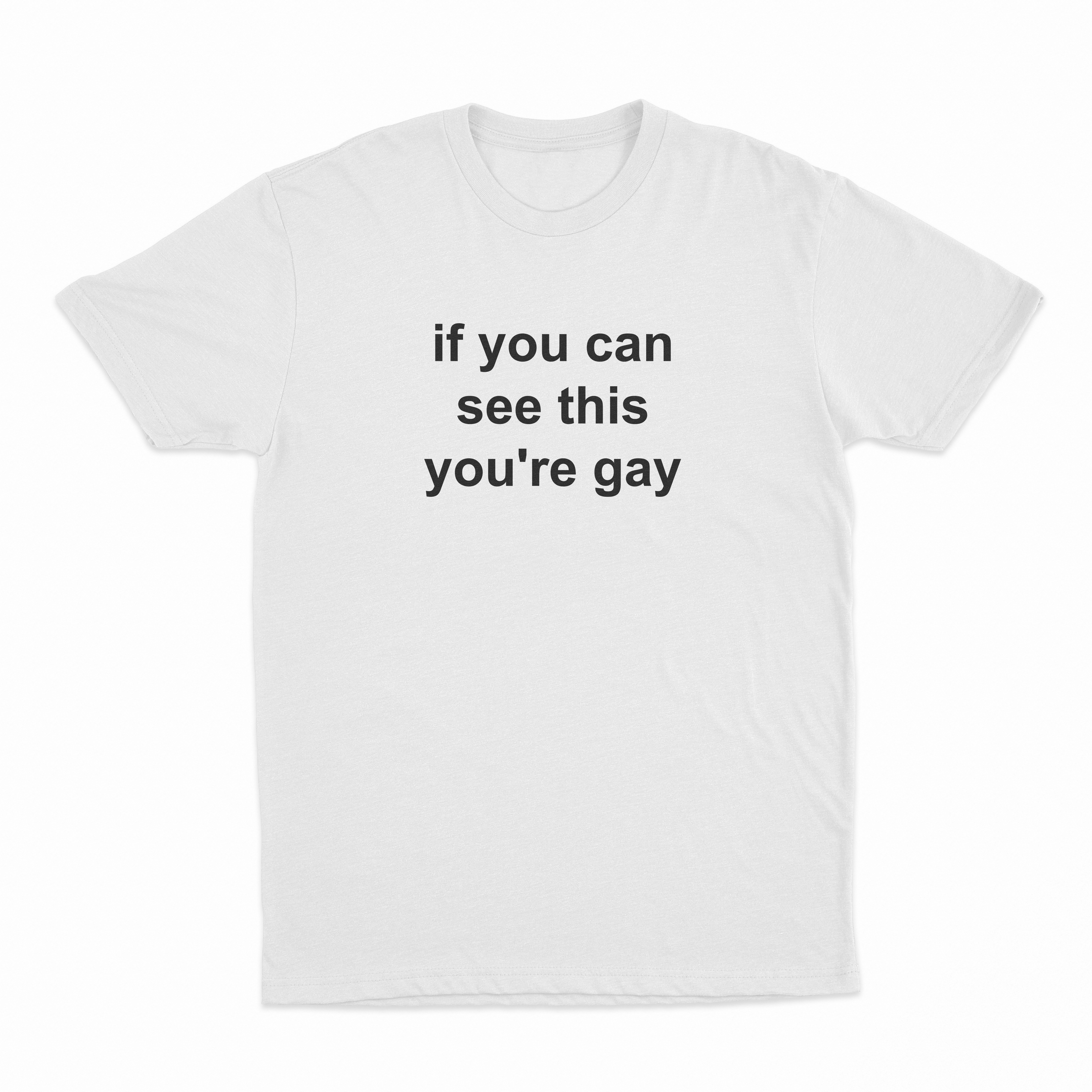 If You Can See This You're Gay T-Shirt