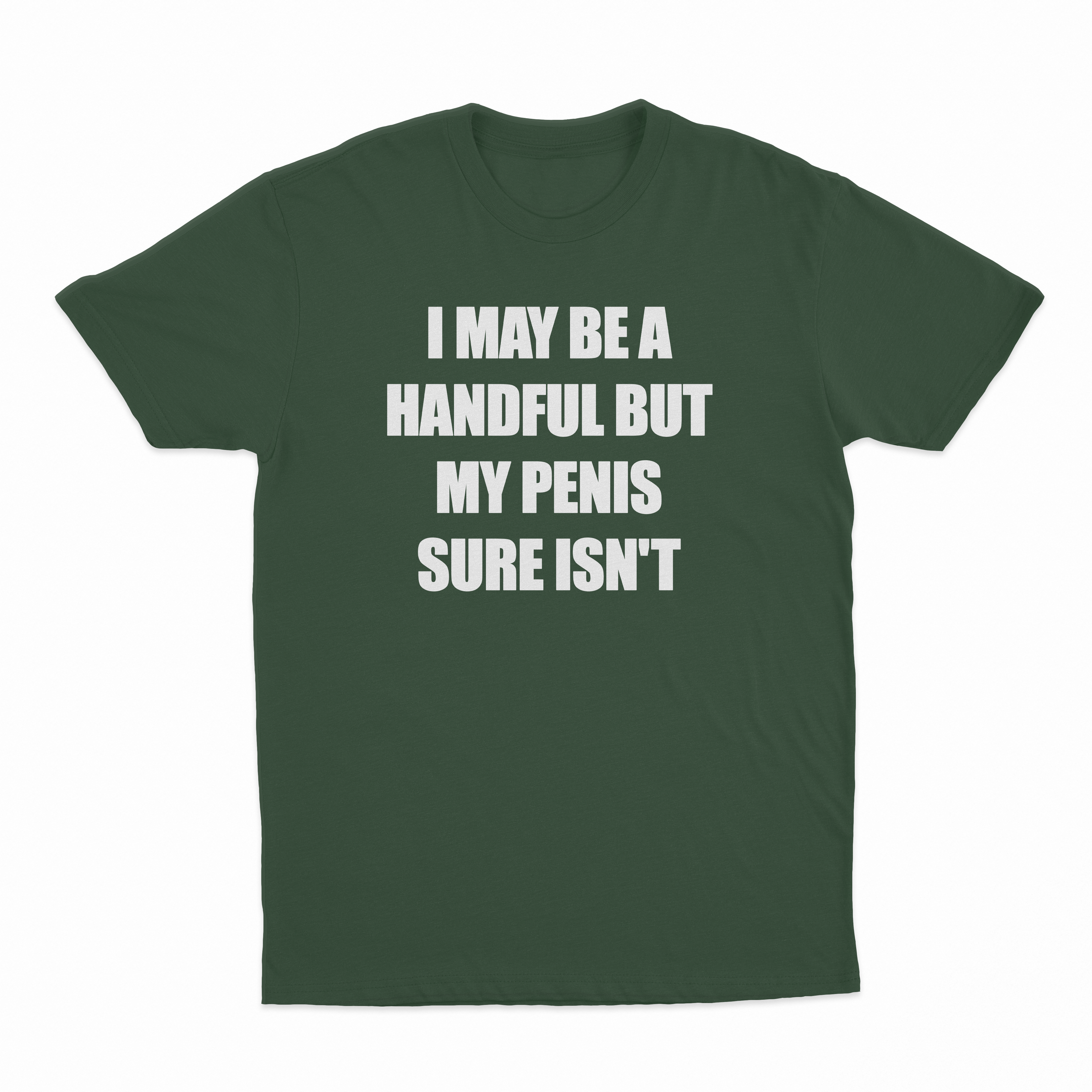 I May Be A Handful But My Penis Sure Isn't T-Shirt
