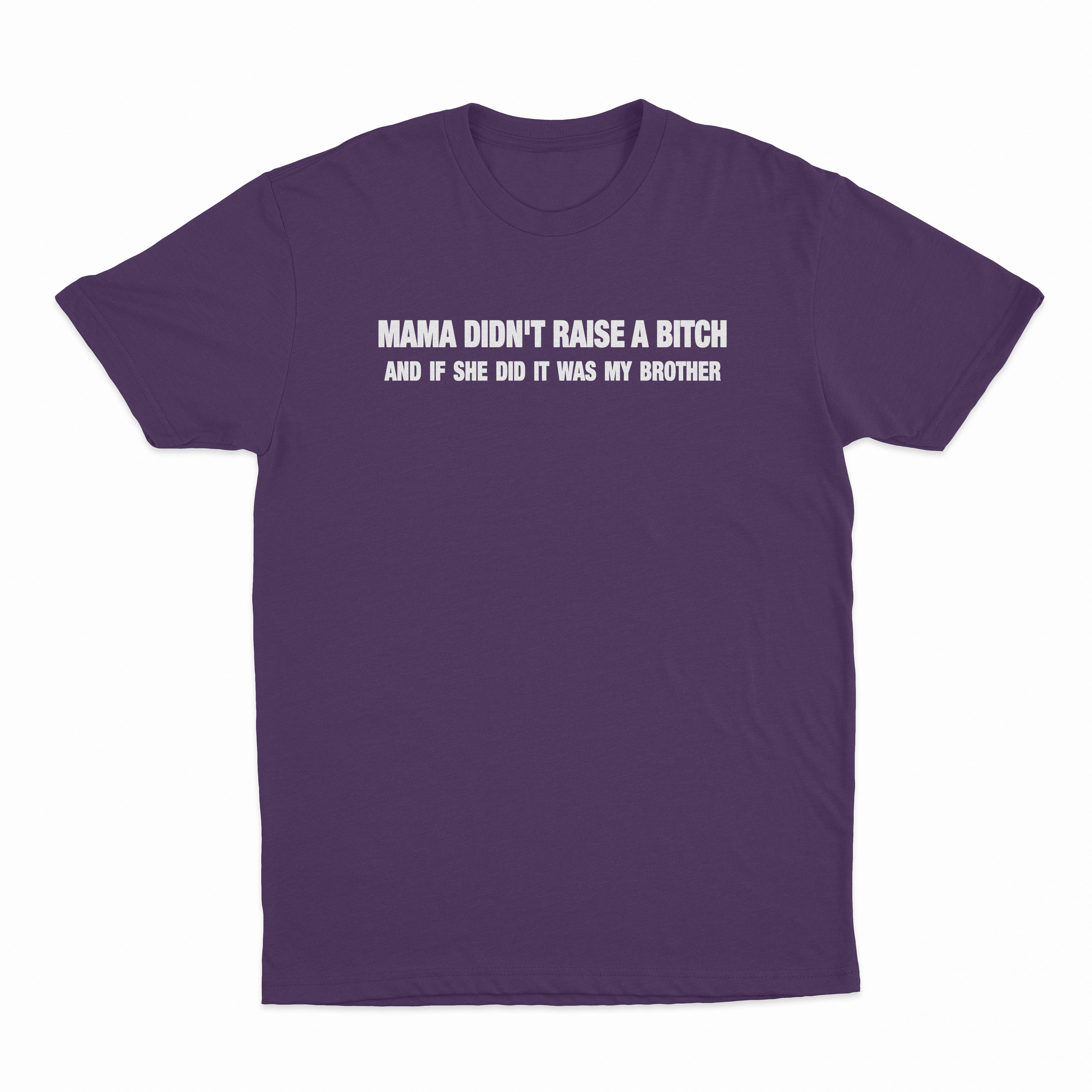 Mama Didn't Raise A Bitch And If She Did It Was My Brother T-Shirt