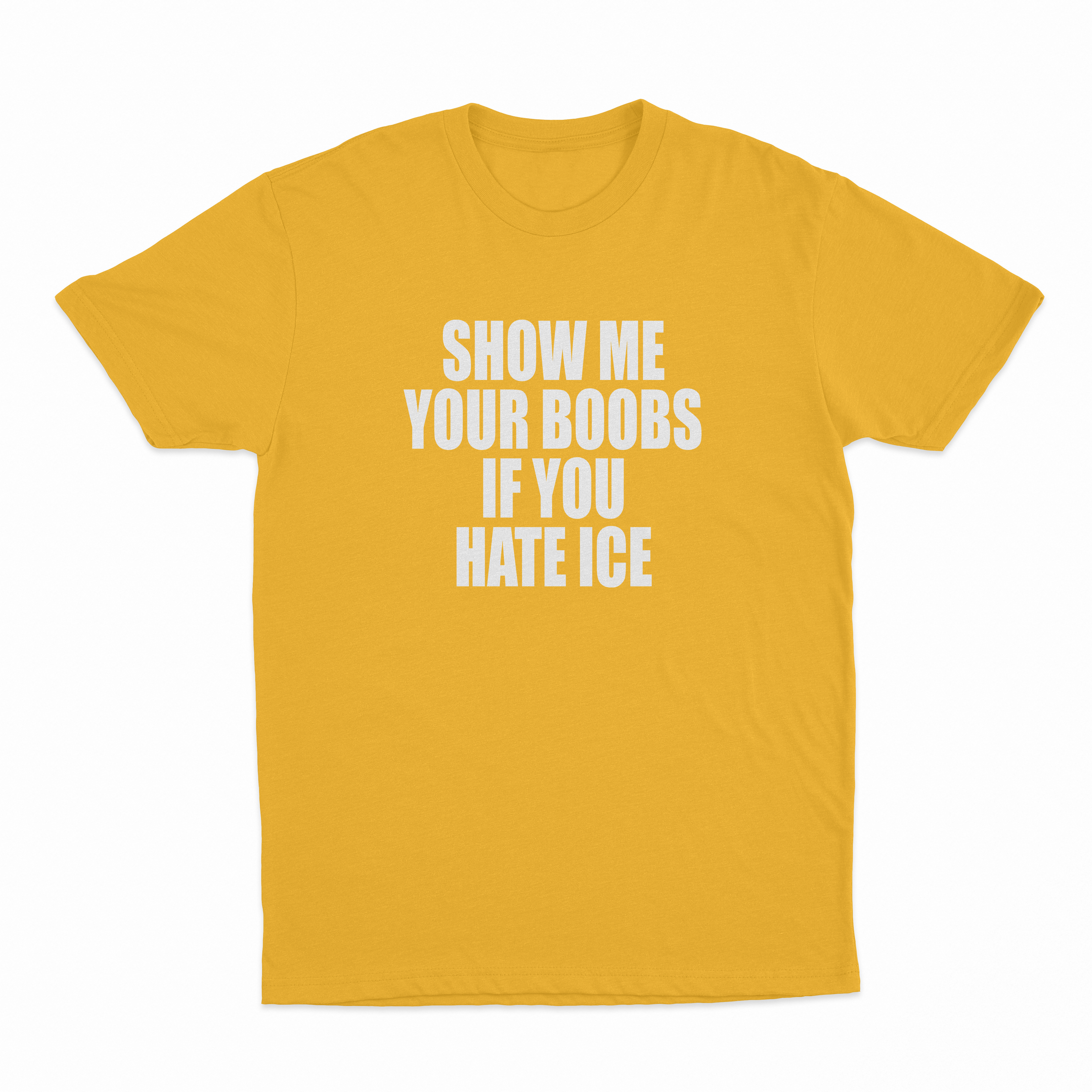 Show Me Your Boobs If You Hate Ice T-Shirt