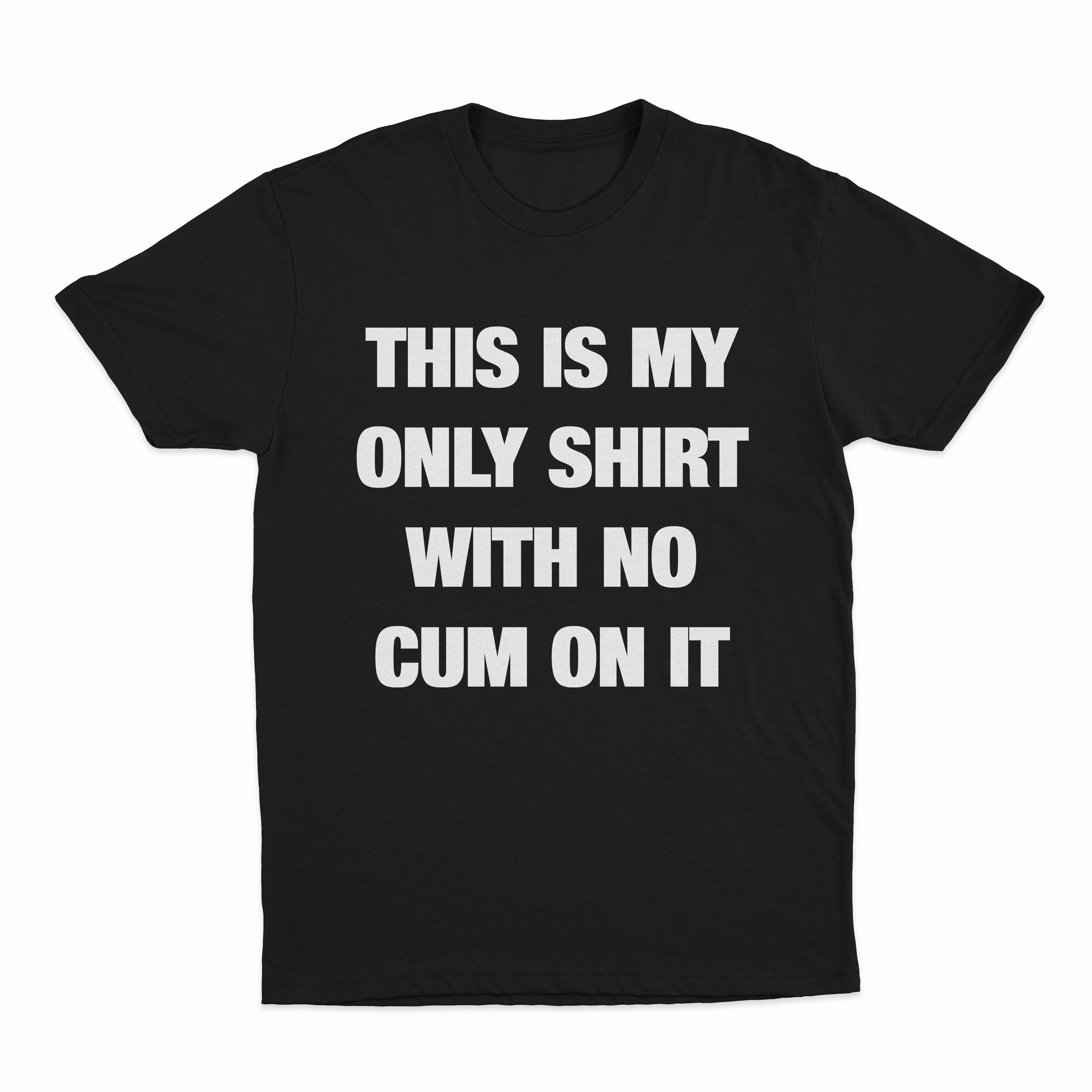 This Is My Only Shirt With No Cum On It T-Shirt