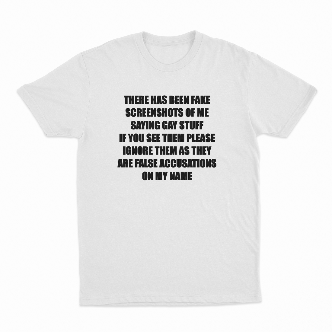 There Has Been Fake Screenshots Of Me Saying Gay Stuff T-Shirt