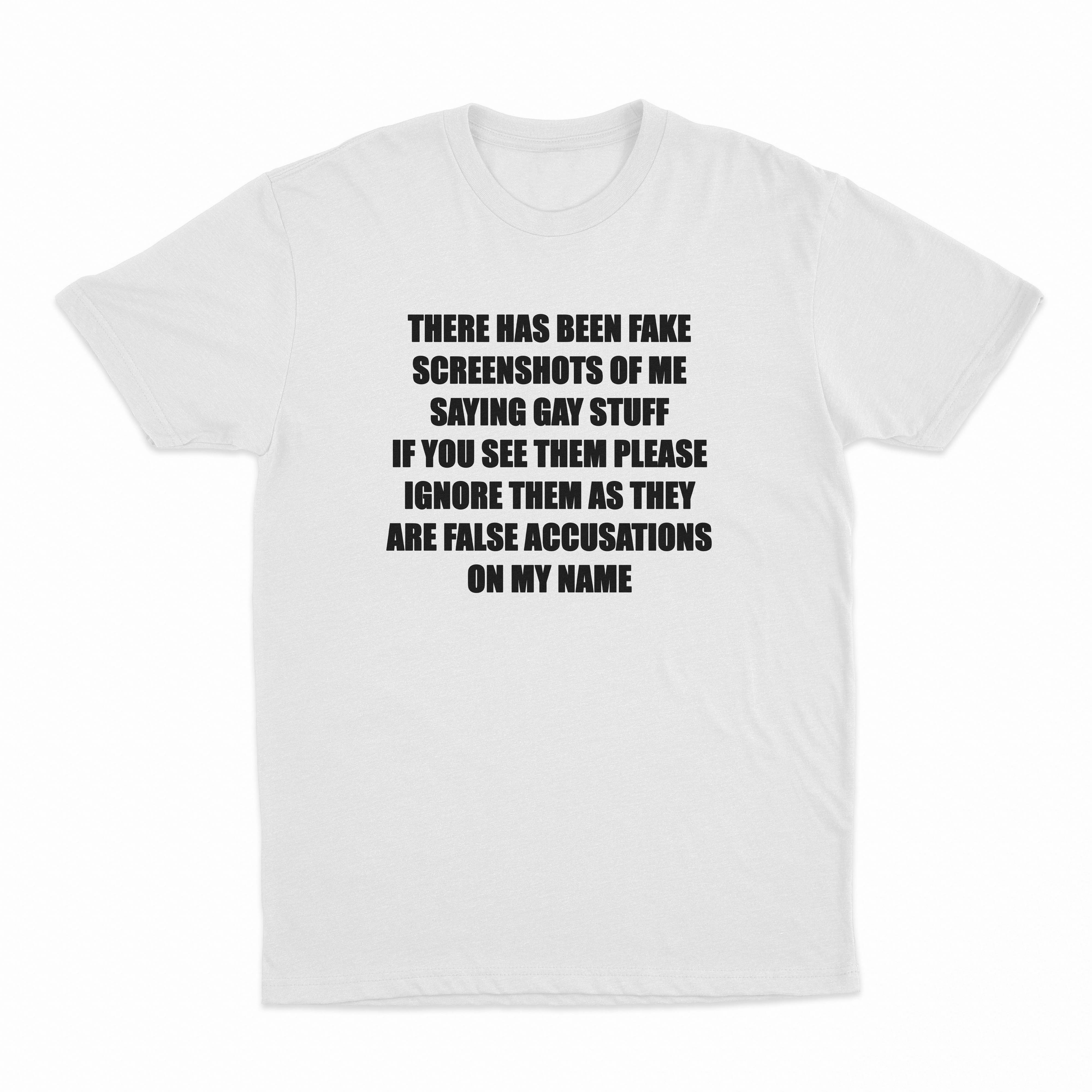 There Has Been Fake Screenshots Of Me Saying Gay Stuff T-Shirt
